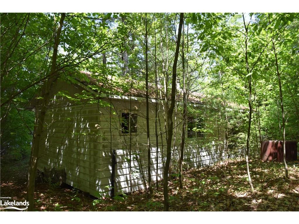









3200


Spence

Lake,
Bracebridge,







ON
P1L 1X1

