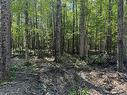 Land/Lot Land/Lot
