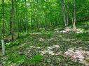 Land/Lot Land/Lot
