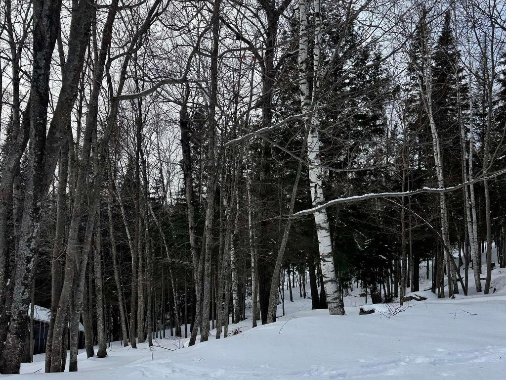 









321


Rue de la Montagne

,
Entrelacs,




QC
J0T2E0

