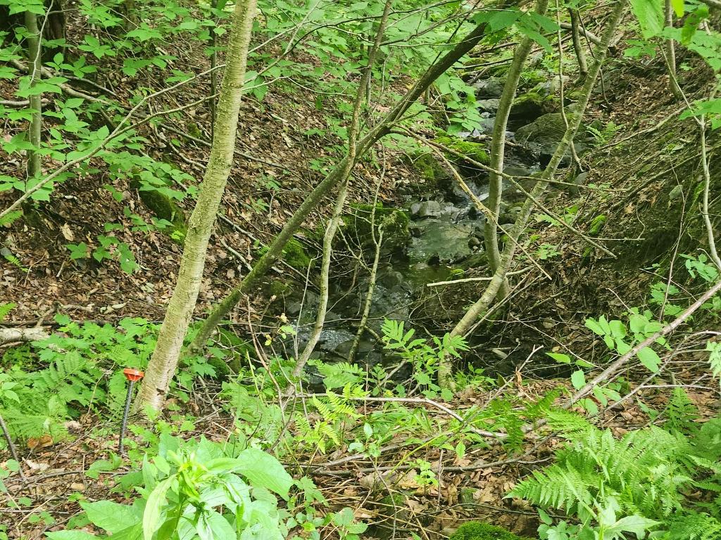 












Ch. du Vallon

,
Bolton-Ouest,







QC
J0E2T0

