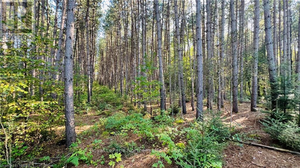 












LOT 28 PART 1 CHISWICK LINE

,
Powassan,







Ontario
P0H1Z0

