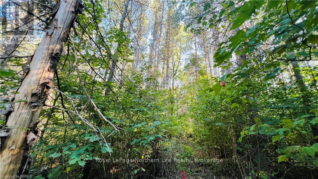 












LOT 28 PART 1 CHISWICK LINE

,
Powassan,







Ontario
P0H1Z0

