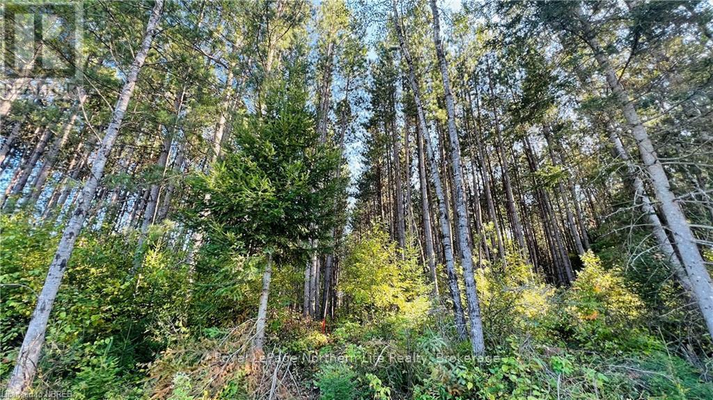 












LOT 28 PART 1 CHISWICK LINE

,
Powassan,







Ontario
P0H1Z0

