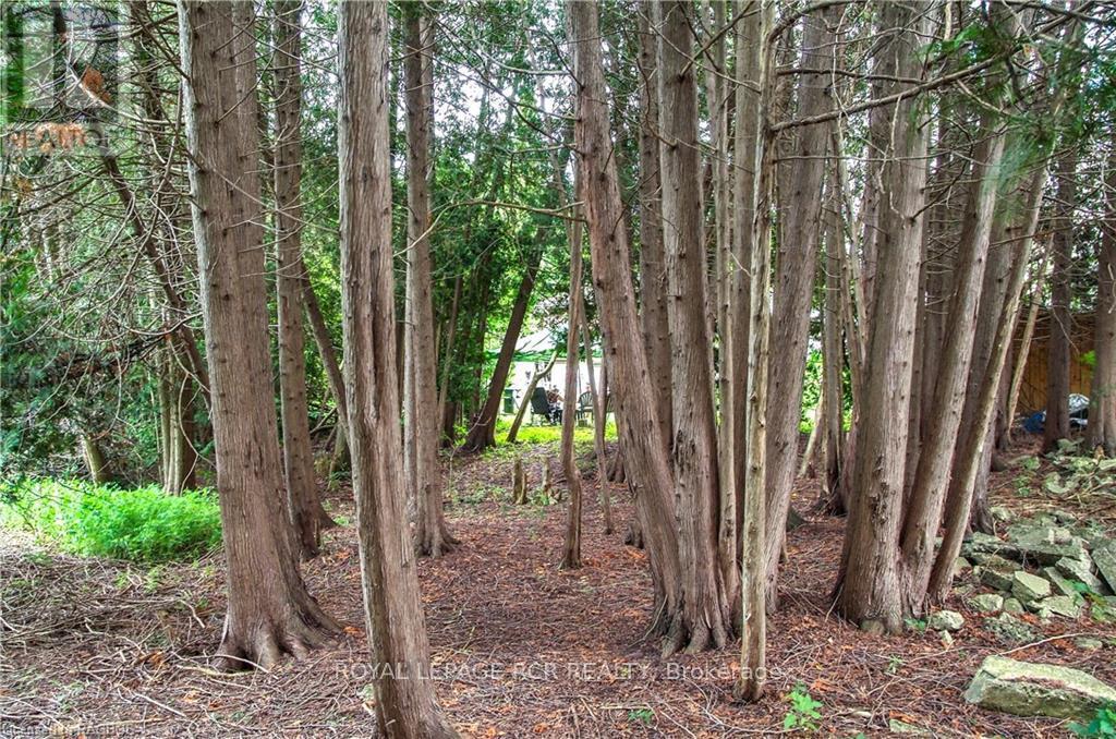 












862 24TH AVENUE

,
Hanover,




Ontario
N4N3B8

