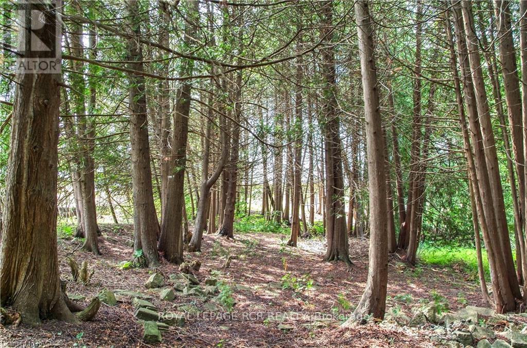 












862 24TH AVENUE

,
Hanover,




Ontario
N4N3B8

