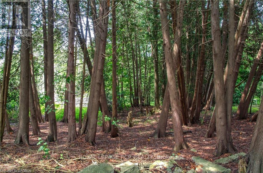 












862 24TH AVENUE

,
Hanover,




Ontario
N4N3B8

