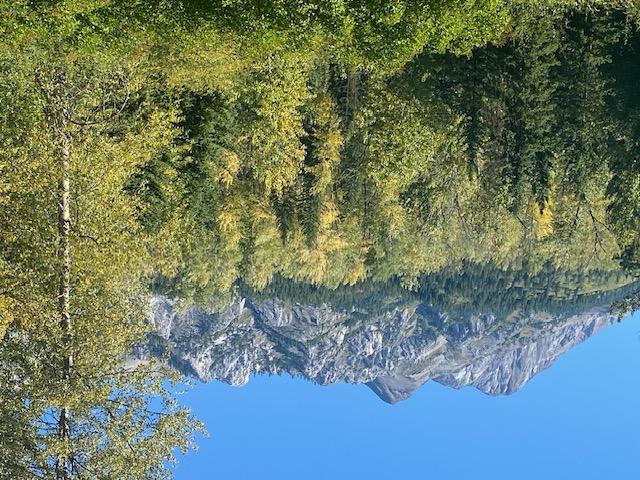 









2151


Highway 3

Highway,
Fernie,




BC
V0B 1M5

