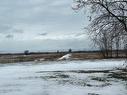 Terre/Terrain Terre/Terrain