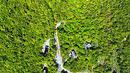 Terre/Terrain Terre/Terrain