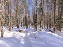 Terre/Terrain Terre/Terrain