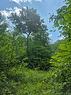Terre/Terrain Terre/Terrain