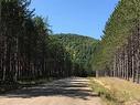 Land/Lot Land/Lot