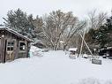 Backyard Backyard