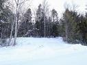 Terre/Terrain Terre/Terrain