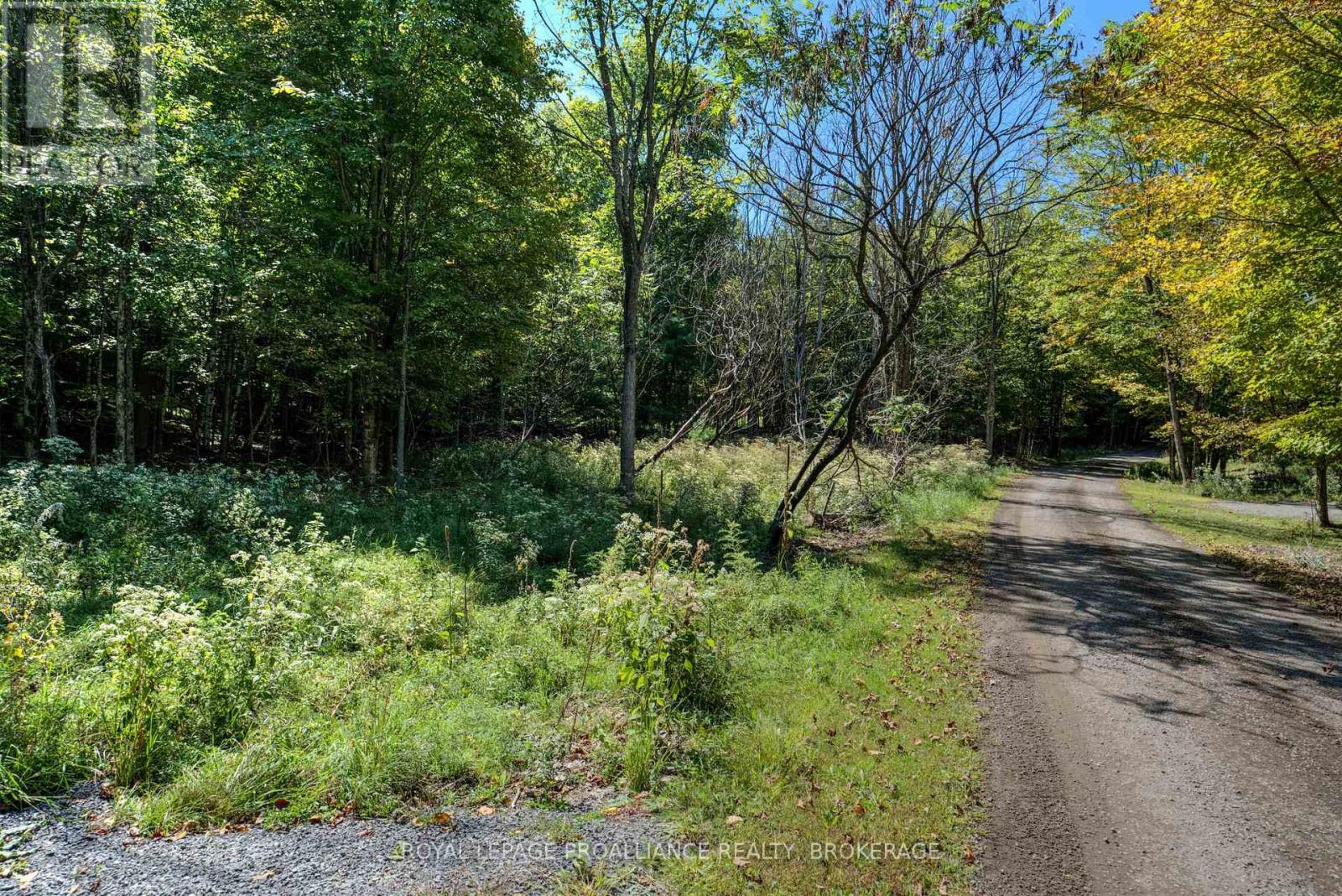 












PTLT 20 DR JOHN LANE

,
Rideau Lakes,







Ontario
K0G1E0

