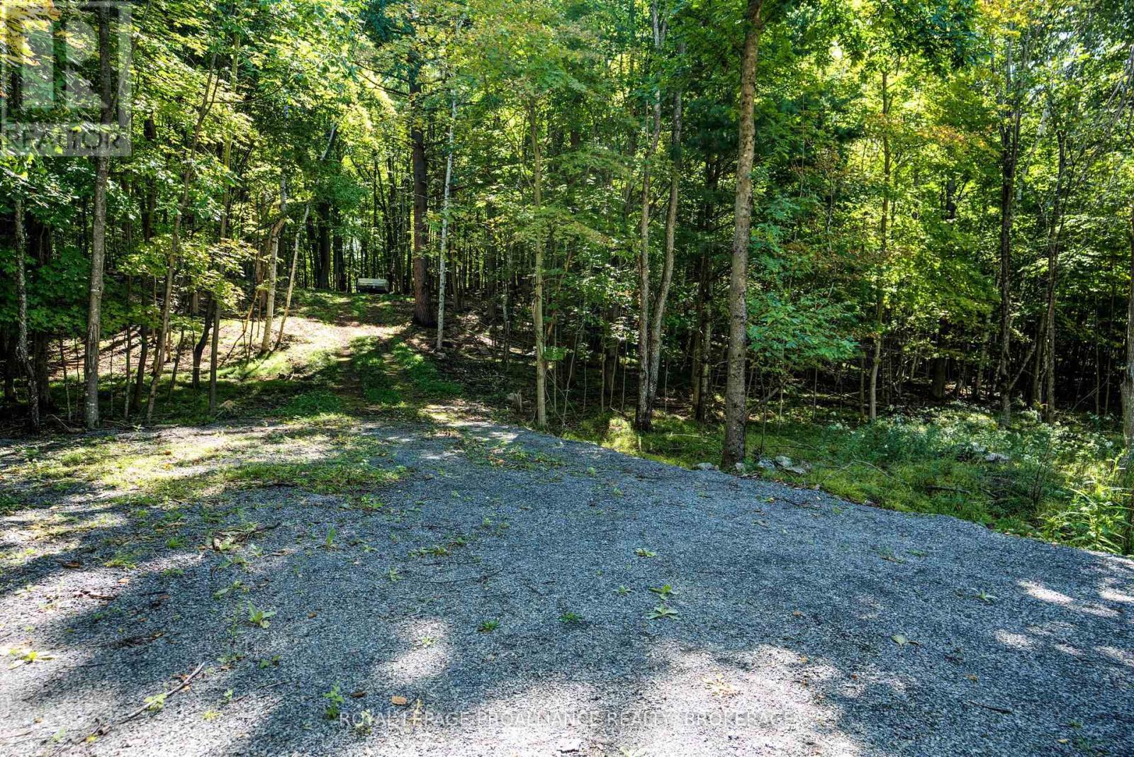 












PTLT 20 DR JOHN LANE

,
Rideau Lakes,







Ontario
K0G1E0

