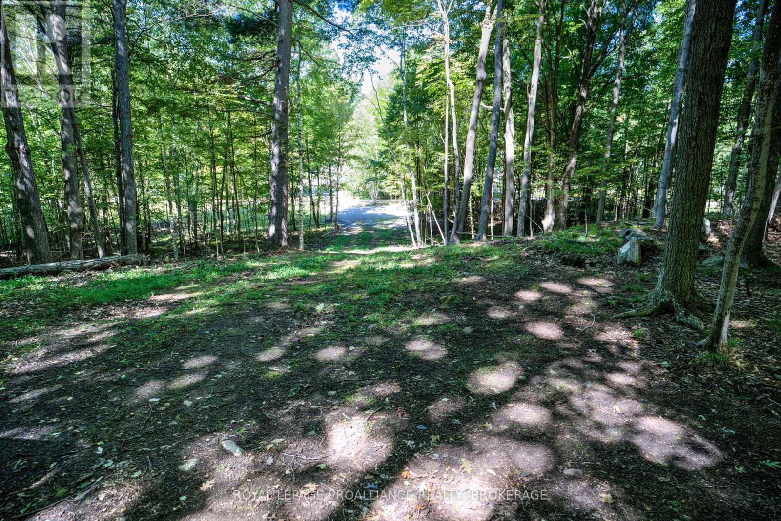 












PTLT 20 DR JOHN LANE

,
Rideau Lakes,







Ontario
K0G1E0

