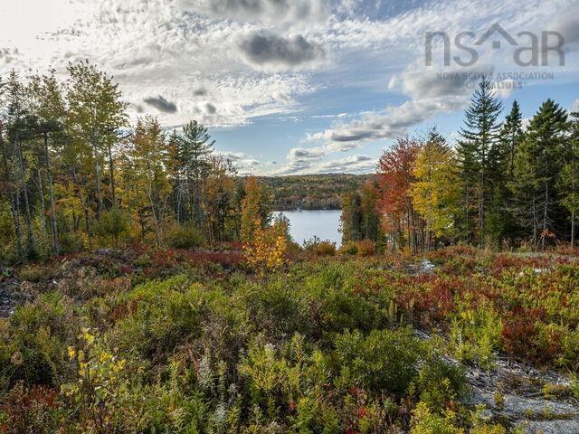 












142 Piggott Avenue

,
Fall River,




NS
B2T 1S6


