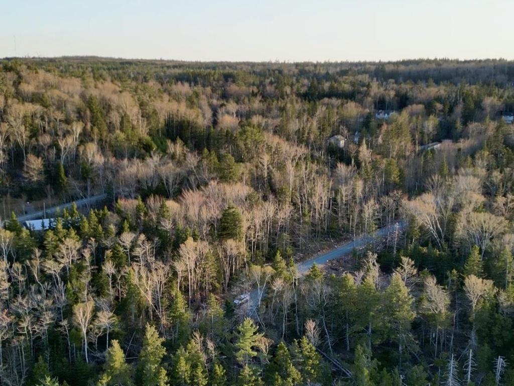 












Lot 4 821 Myra Road

,
Porters Lake,







NS
B3E 1G5


