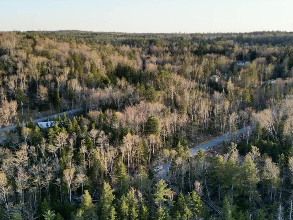 












Lot 4 821 Myra Road

,
Porters Lake,







NS
B3E 1G5

