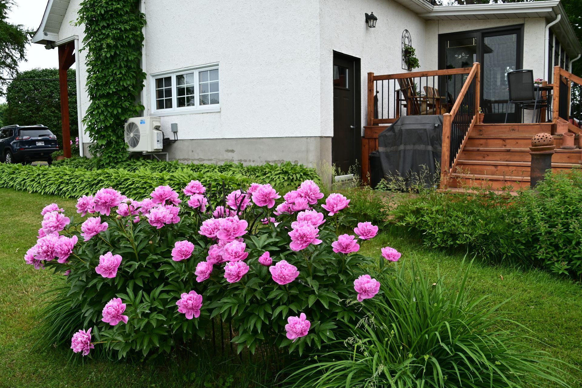 









723


Rue Principale

,
Saint-Paul-de-l'Île-aux-Noix,




QC
J0J1G0

