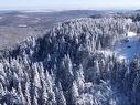 Terre/Terrain
