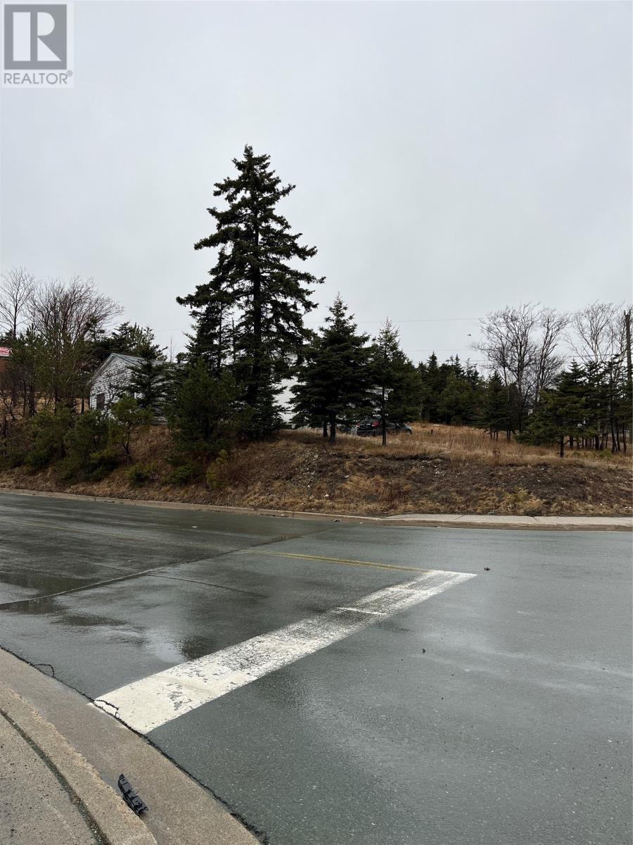 1566 Topsail Road, Paradise, NL