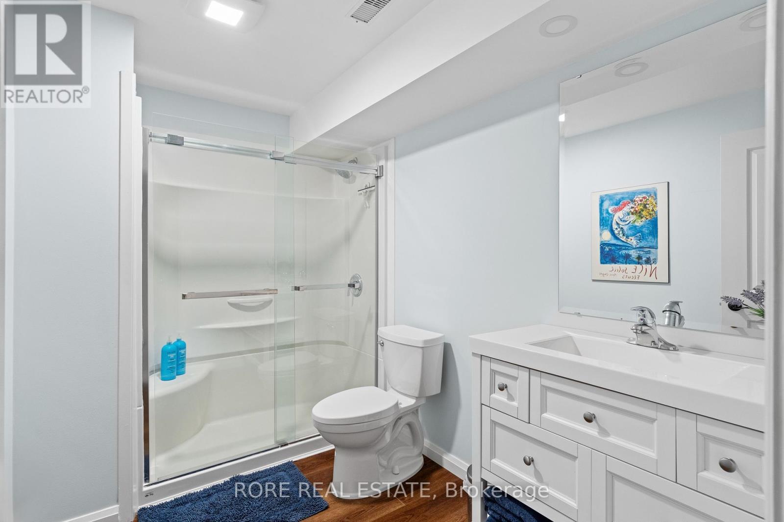 Bathroom - Basement - 56 Sunrise Court, Fort Erie (Ridgeway), ON - Indoor Photo Showing Bathroom