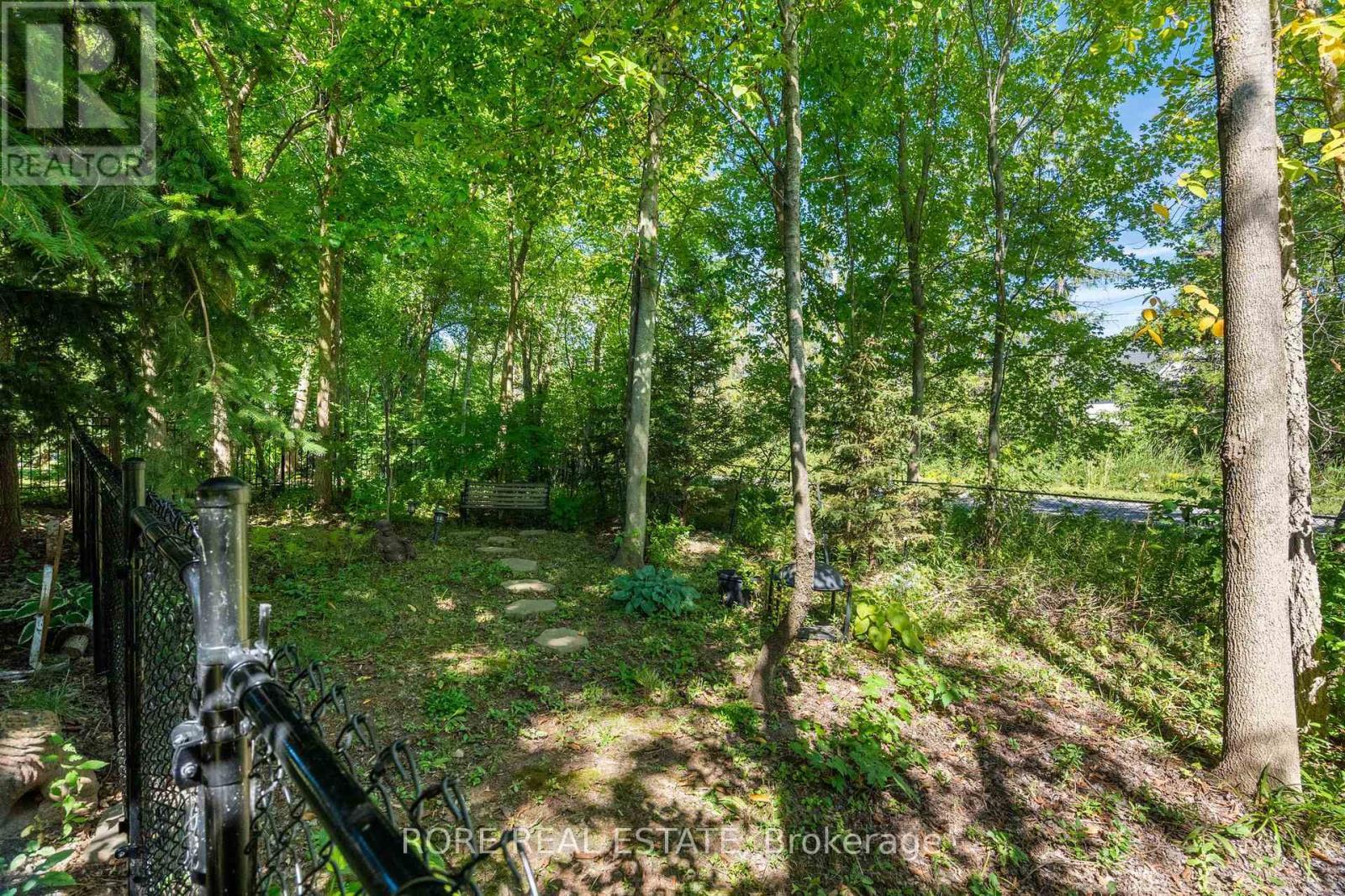 Wooded area at the back of the yard - 56 Sunrise Court, Fort Erie (Ridgeway), ON - Outdoor
