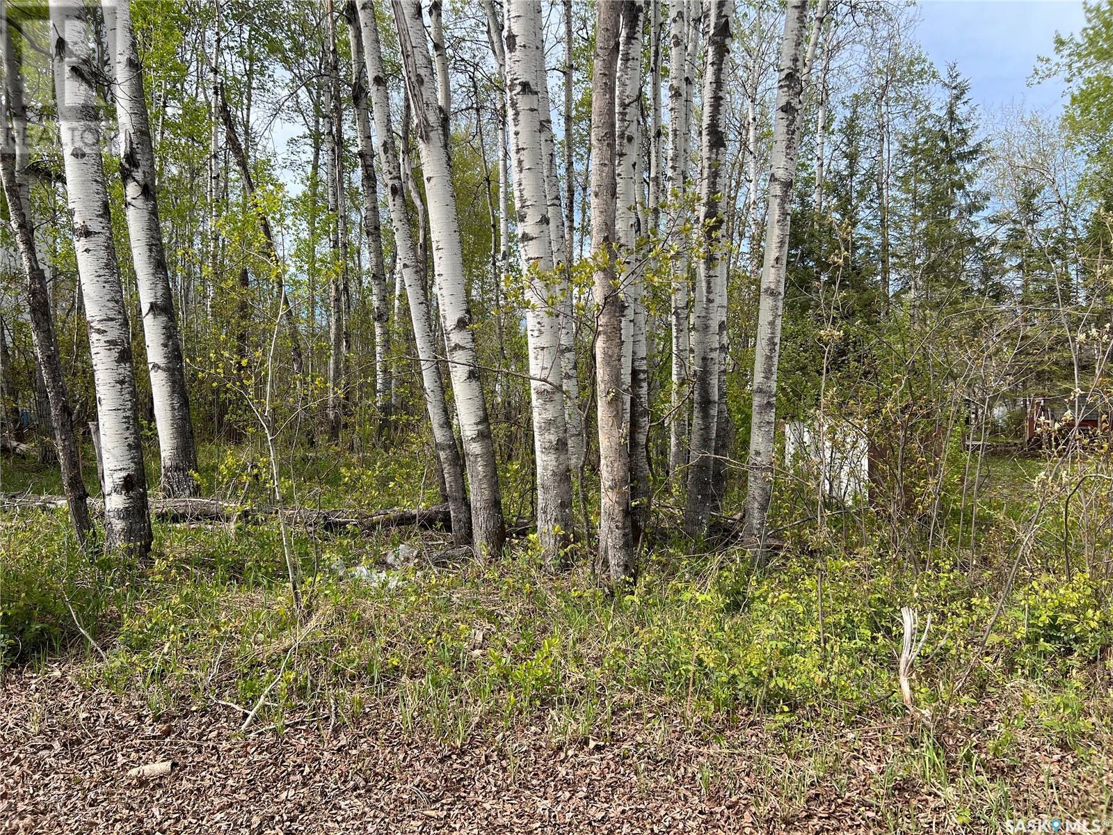 












448 Cougar ROAD

,
Marean Lake,







Saskatchewan
S0E1H0

