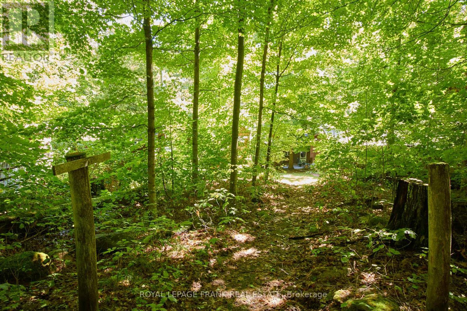












2A WHITE ISLAND

,
Alnwick/Haldimand,




Ontario
K0K2X0

