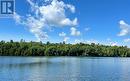 Waterscape