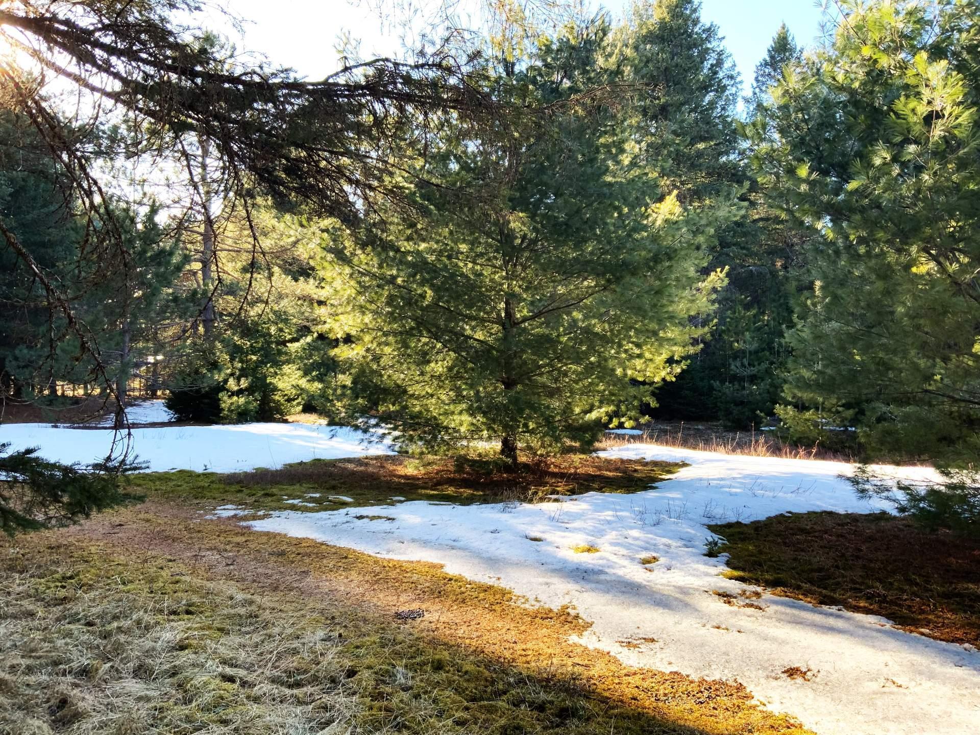 












Mtée Lafrance

,
Lac-des-Plages,







QC
J0T1K0

