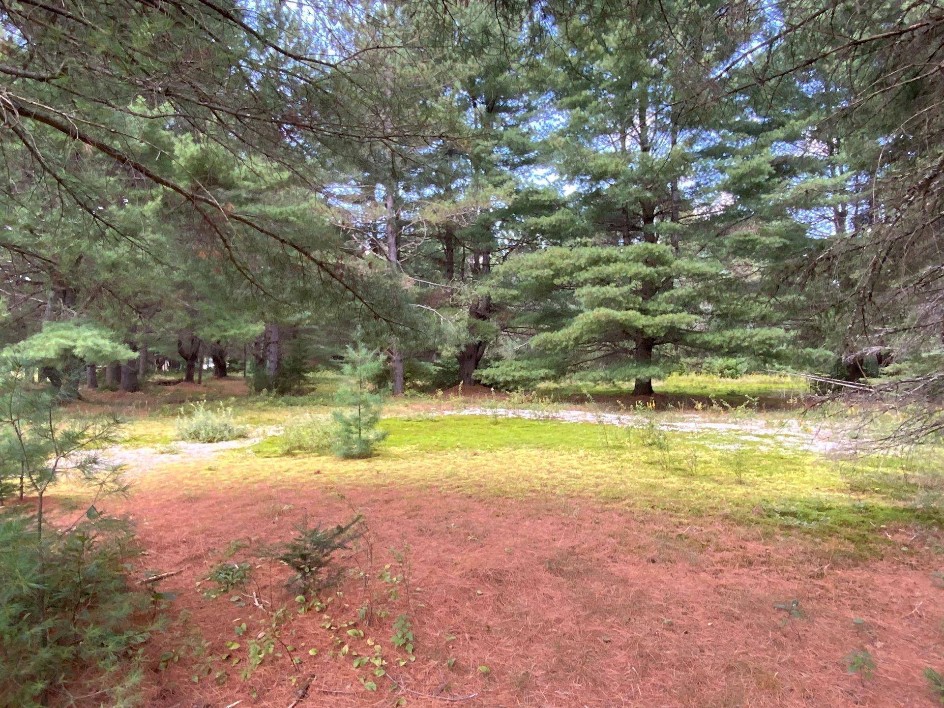












Mtée Lafrance

,
Lac-des-Plages,







QC
J0T1K0


