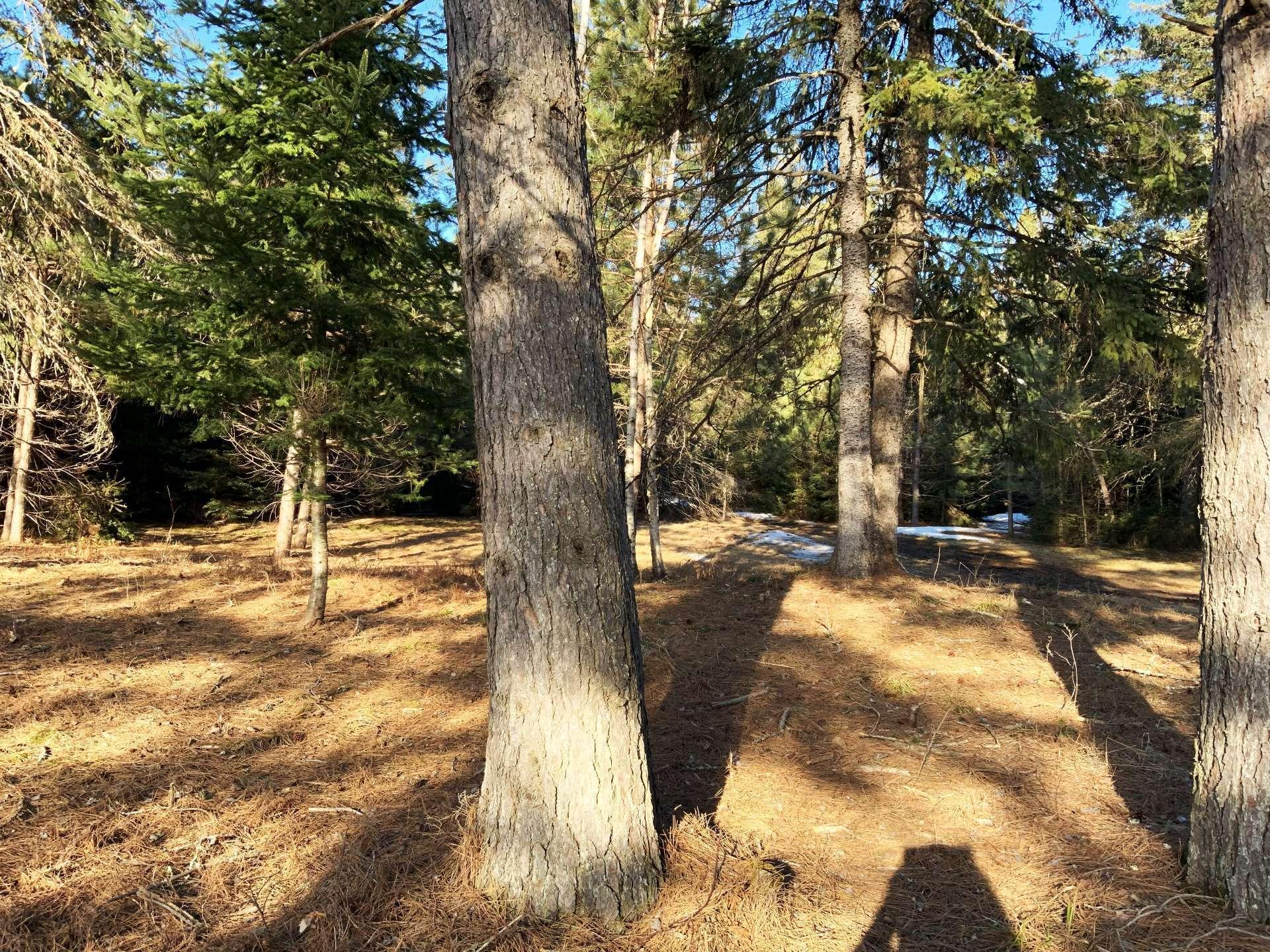 












Ch. du Tour-du-Lac

,
Lac-des-Plages,







QC
J0T1K0

