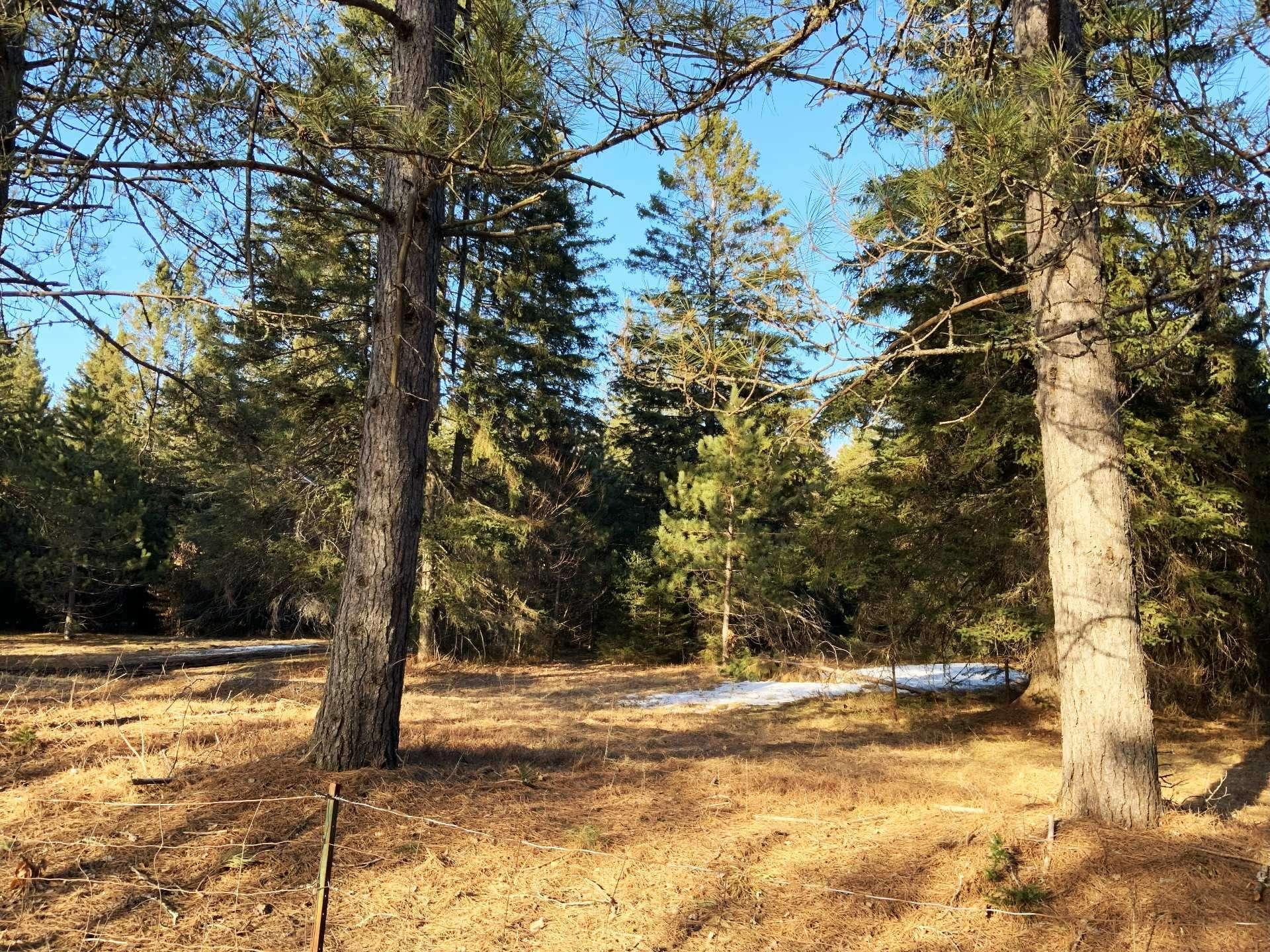 












Ch. du Tour-du-Lac

,
Lac-des-Plages,







QC
J0T1K0

