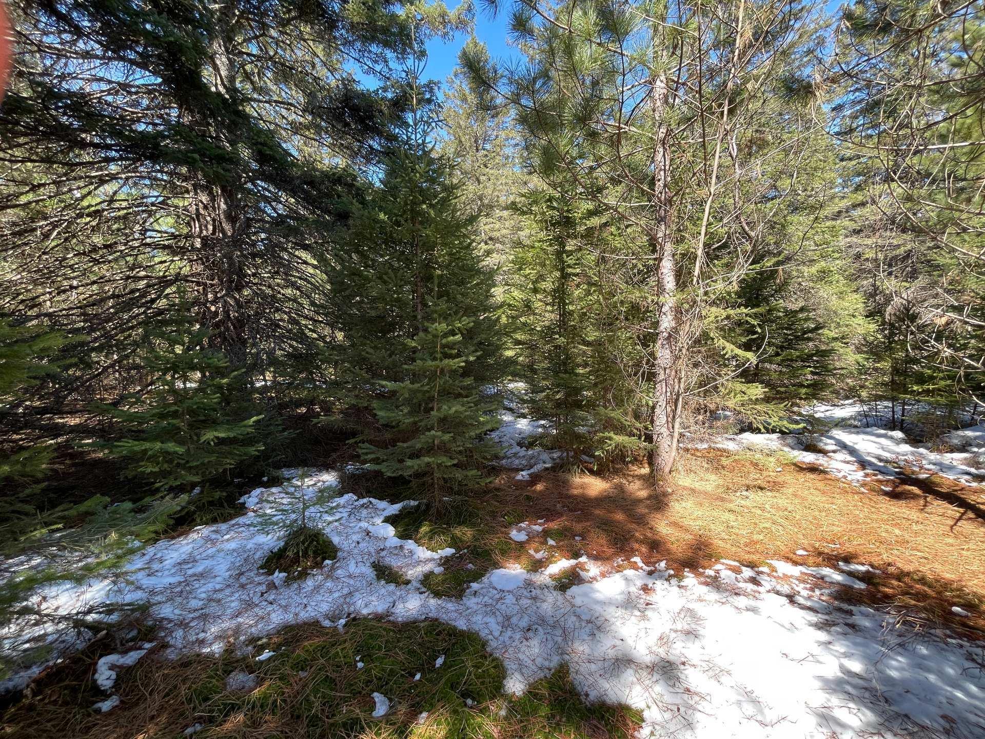 












Ch. du Tour-du-Lac

,
Lac-des-Plages,







QC
J0T1K0

