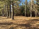 Land/Lot Land/Lot