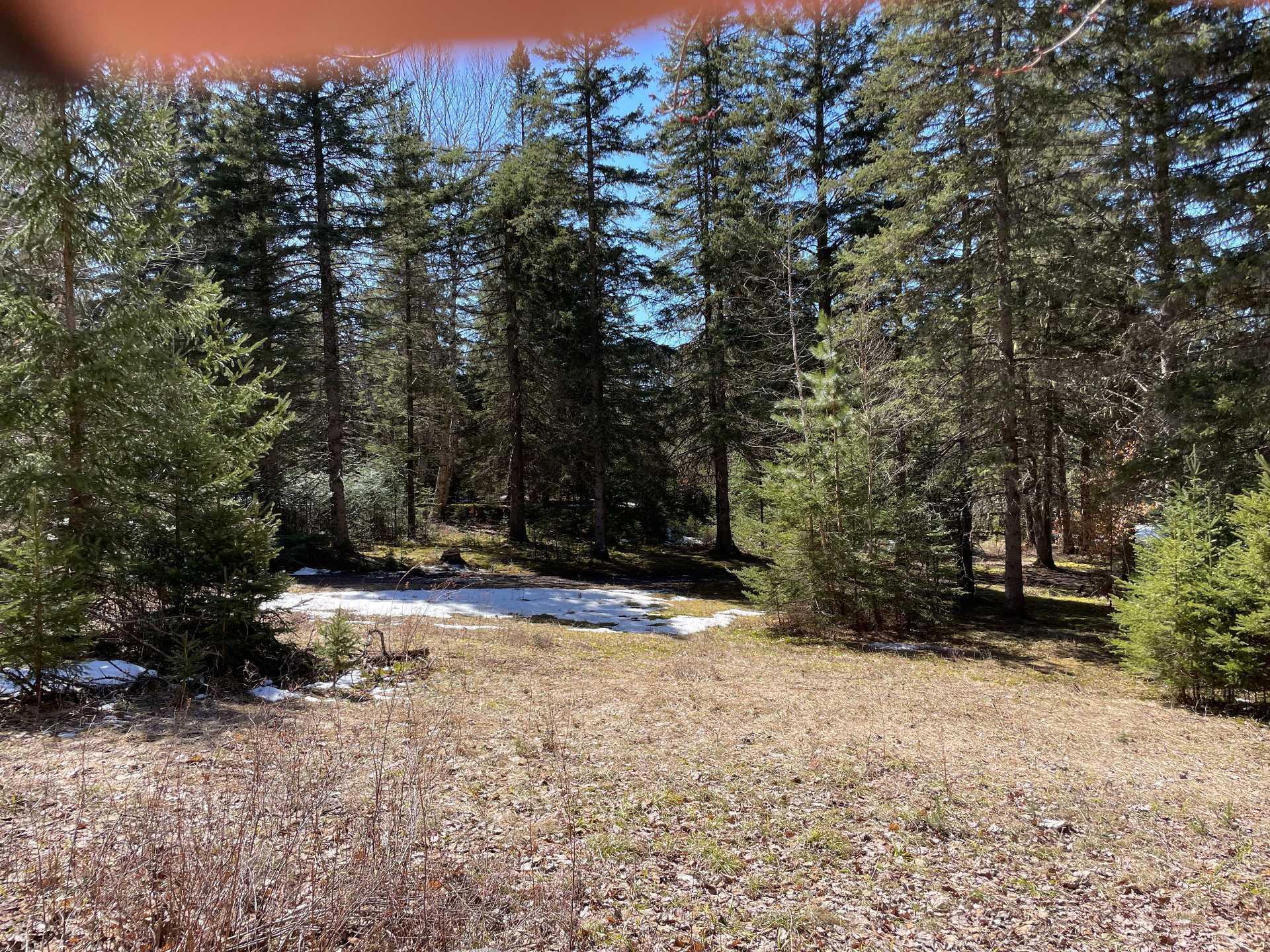 












Ch. du Tour-du-Lac

,
Lac-des-Plages,







QC
J0T1K0

