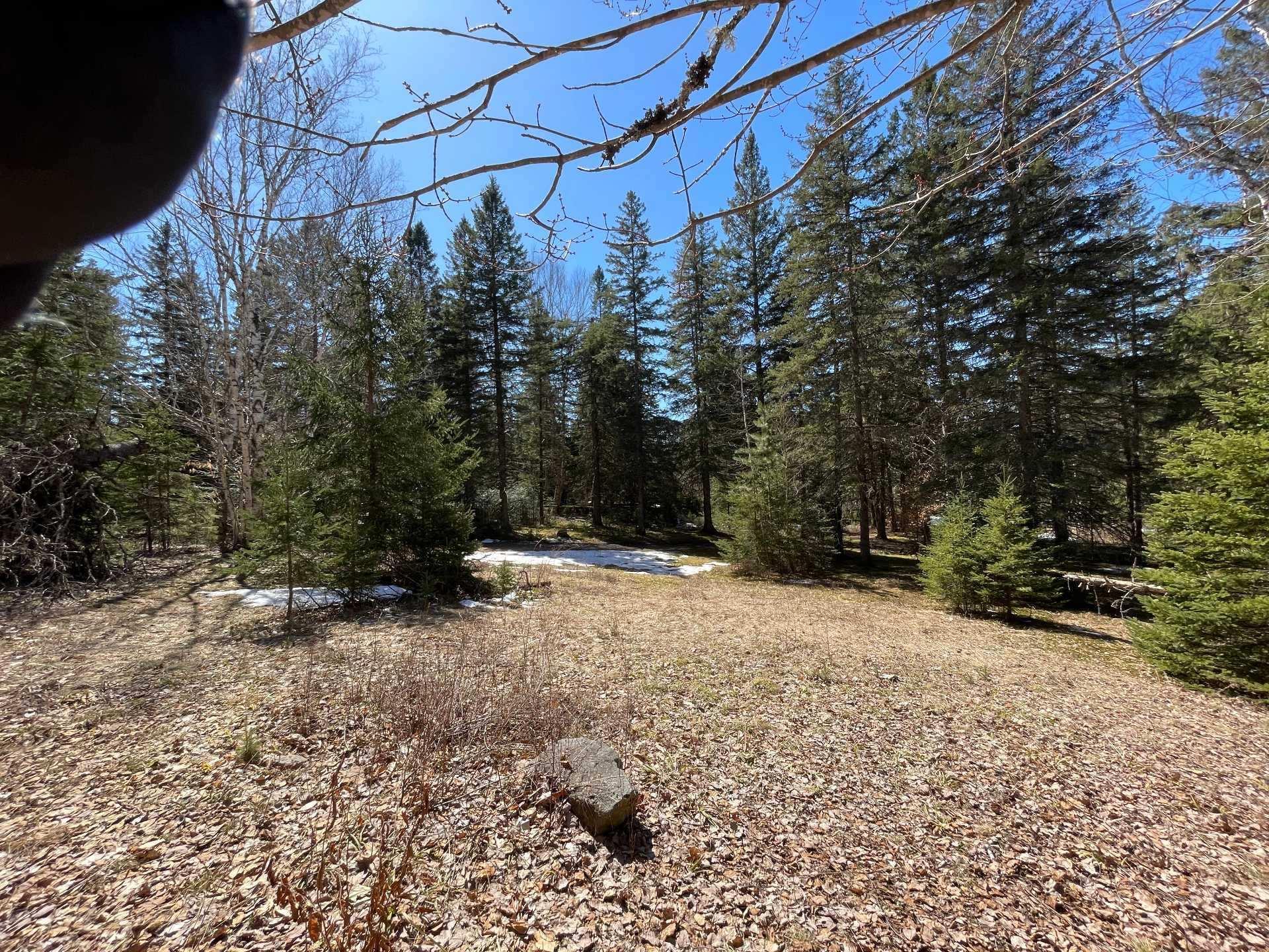 












Ch. du Tour-du-Lac

,
Lac-des-Plages,







QC
J0T1K0

