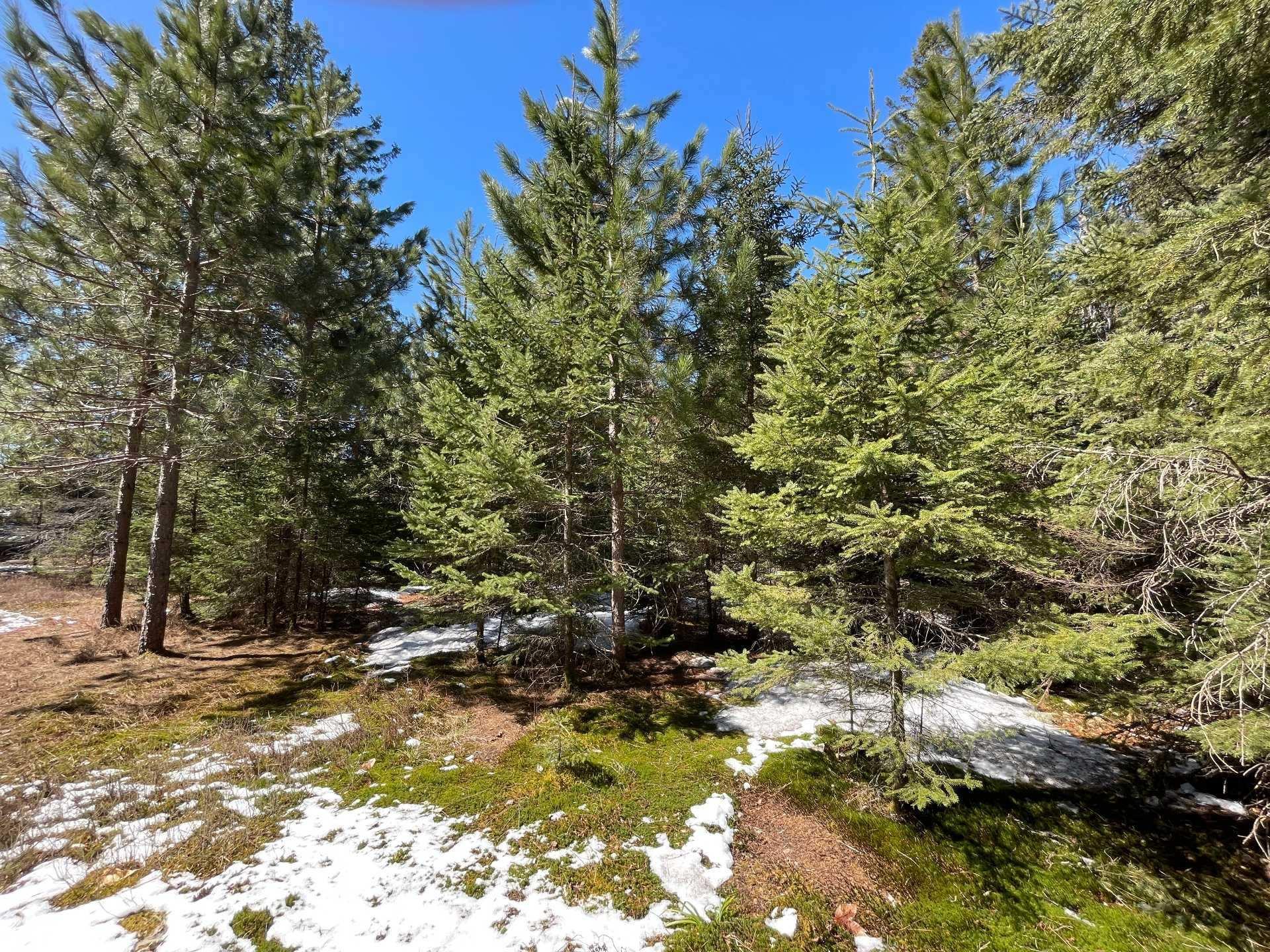 












Ch. du Tour-du-Lac

,
Lac-des-Plages,







QC
J0T1K0

