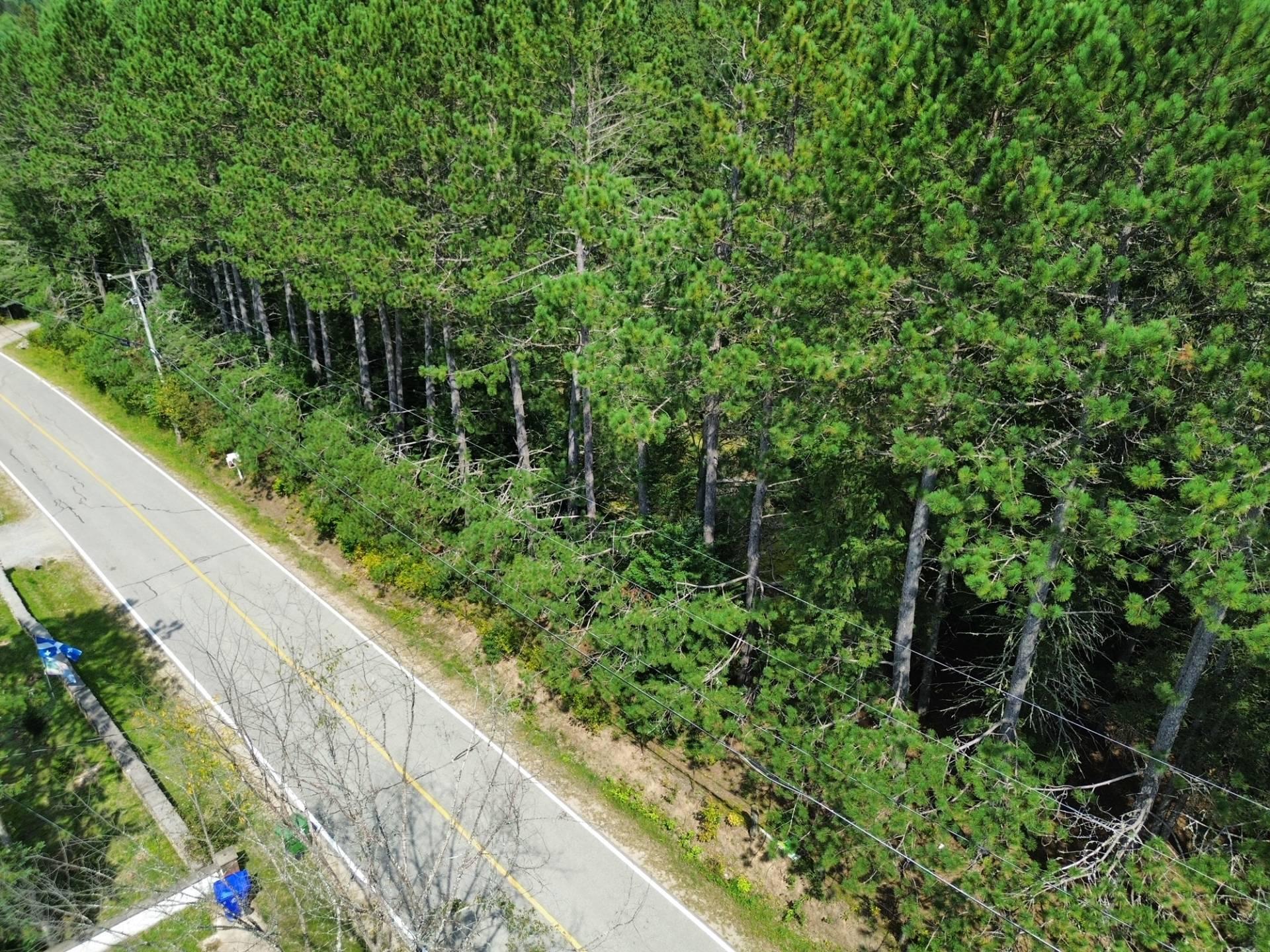 












Ch. du Tour-du-Lac

,
Lac-des-Plages,







QC
J0T1K0

