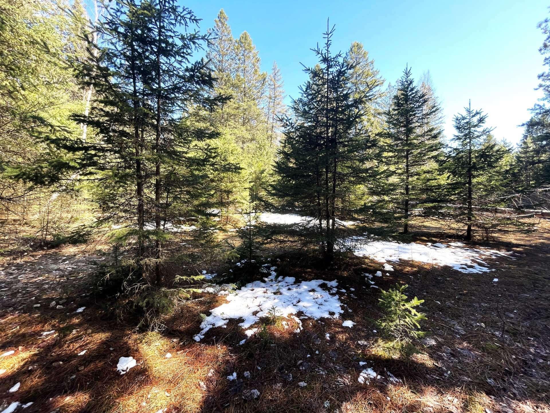












Ch. du Tour-du-Lac

,
Lac-des-Plages,







QC
J0T1K0

