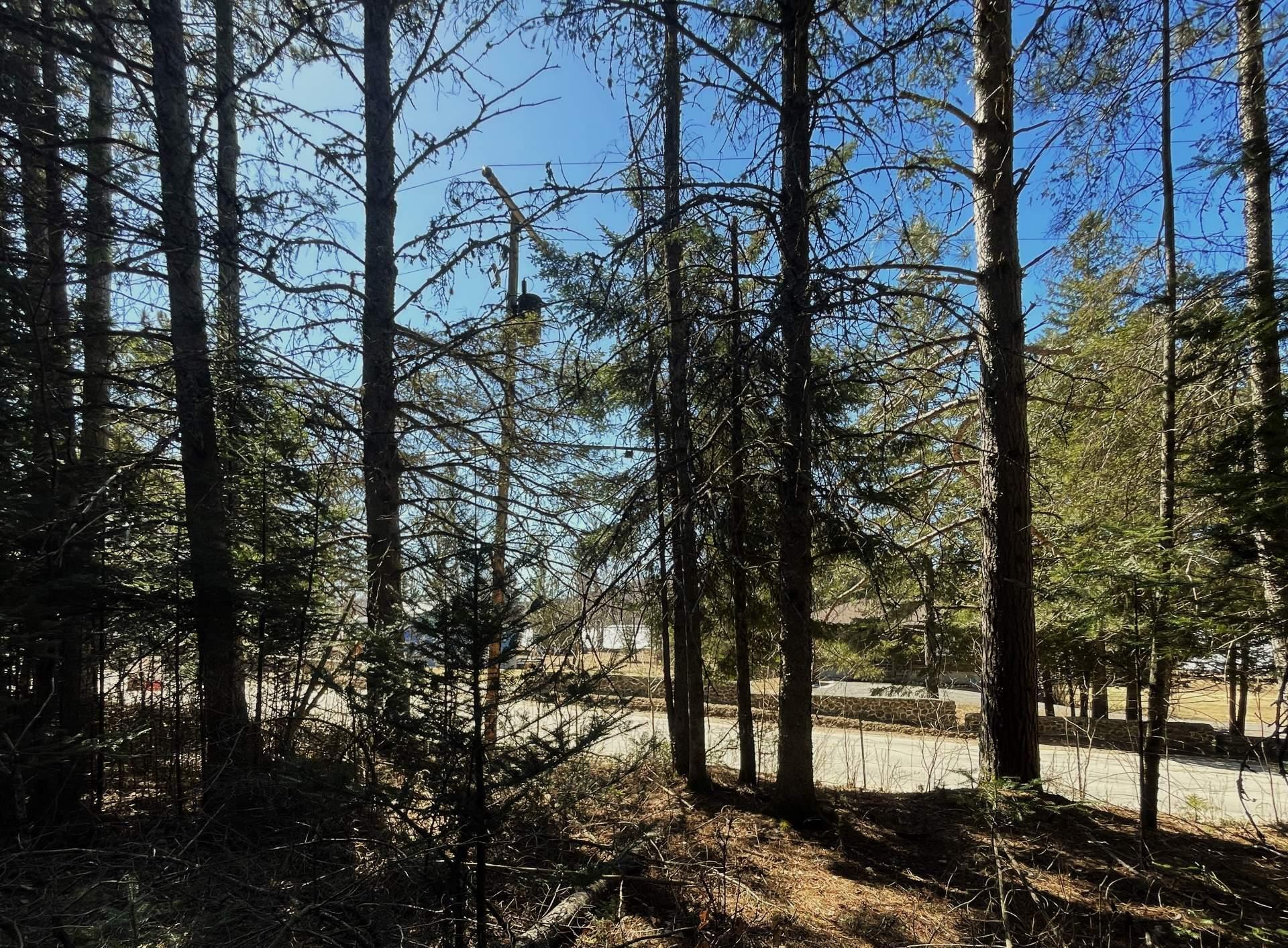 












Ch. du Tour-du-Lac

,
Lac-des-Plages,







QC
J0T1K0

