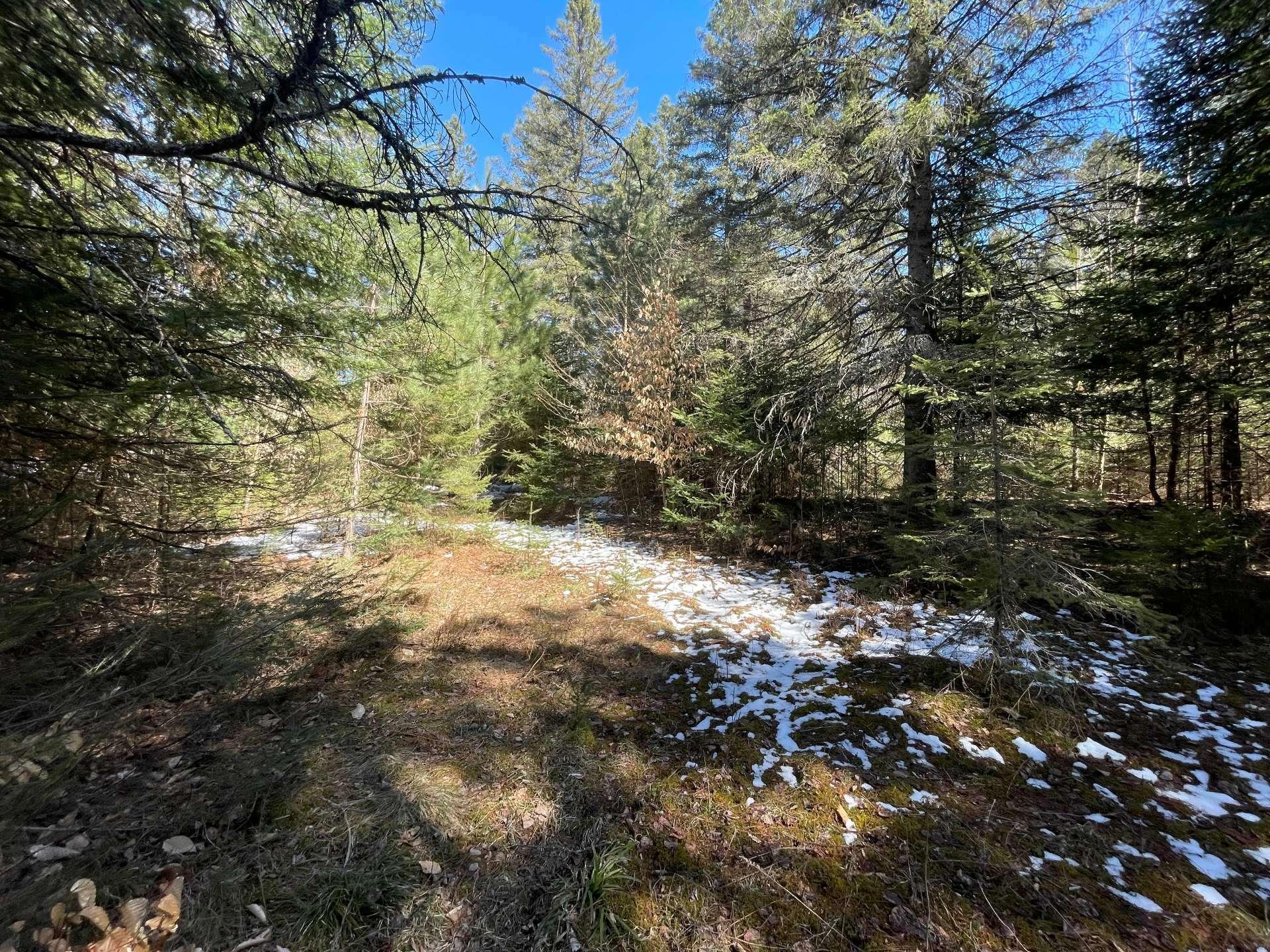 












Ch. du Tour-du-Lac

,
Lac-des-Plages,







QC
J0T1K0

