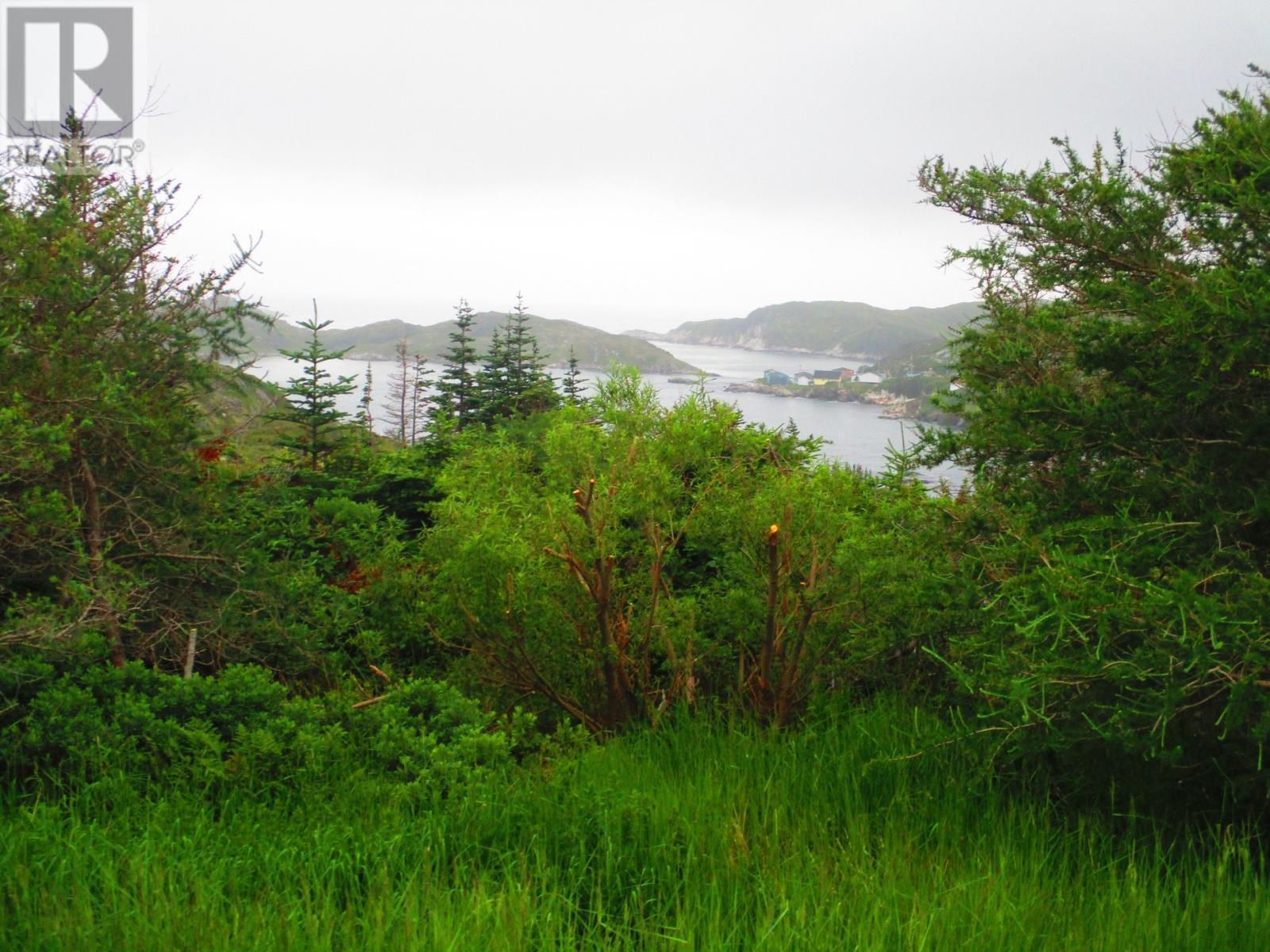 












1 SAVOURY Heights

,
ROSE BLANCHE,




Newfoundland & Labrador
A0M1P0

