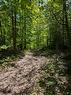 Terre/Terrain Terre/Terrain