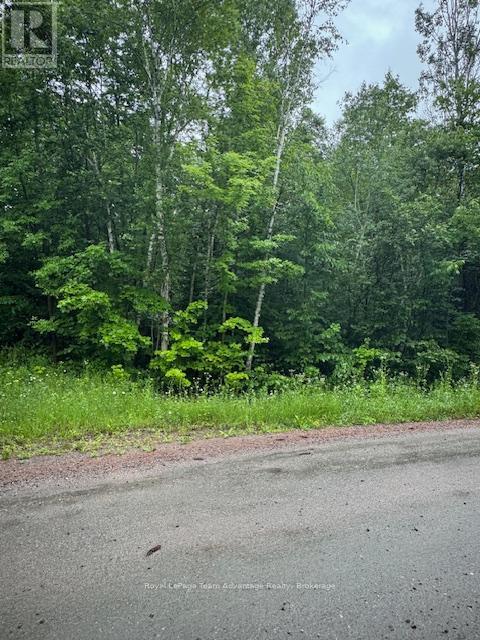 












LOT 29 FARLEYS ROAD

,
Whitestone (Dunchurch),







Ontario
P0A1G0

