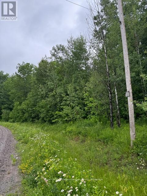 












LOT 29 FARLEYS ROAD

,
Whitestone (Dunchurch),







Ontario
P0A1G0

